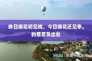 顾怜文力孱非敌，剩欲追摹忽已逋。的解释