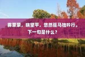 使来觅我当何处，水出牂牁若个边。上一句是什么？