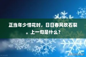 声音笑貌成语的拼音