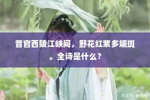 兴来亦复吟哦否，读罢何当疾痼痊。的意思及出处