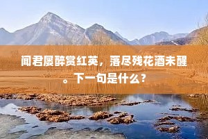 嗟我失脚堕棘榛，寸步有若千里行。的解释