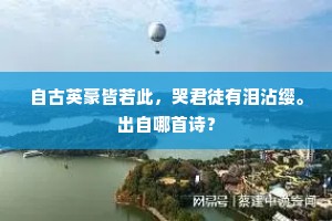 昨宵一雨为苏洗，晓兴坐觉飞崔嵬。下一句是什么？