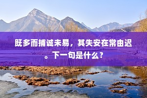 已分终身乐贫贱，自无岐路觅功名。的解释