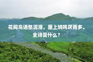 数不胜数成语的解释