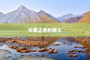 事不过三成语的释义