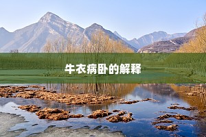 事出无奈成语的拼音