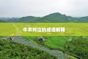 耐久固殊流俗败，含情浑似故人长。出自哪首诗？