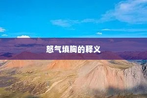 数黑论白成语的拼音