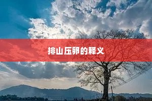 双宿双飞成语的释义