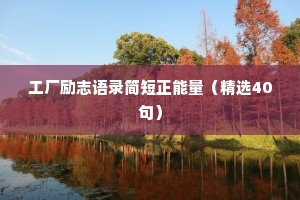 惊羡人间的治愈系情感文案怎么写啊（通用40句）