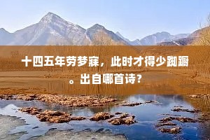 故人已寄招魂作，吾子重歌隐士诗。的释义