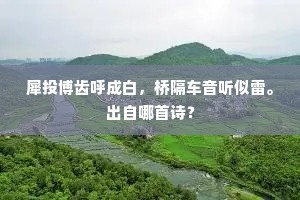 携家本避长城戍，孙子相仍住桃坞。的释义