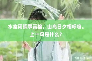 西山南浦风前恨，皖水灊山天外思。的释义