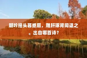送往视居成语的拼音