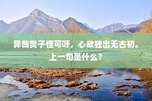 涪翁逍遥果安在，玉局清都今何如。的释义