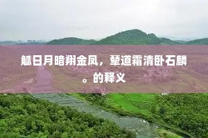 夙夜匪解成语的解释