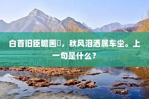 当年政化方随日，诏访贤良设科十。的意思及出处