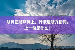小舟已向山阴去，但遣和诗慵报书。下一句是什么？