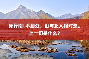 我居何有惟脩竹，一日真成不可无。下一句是什么？