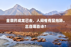 随机应变成语的拼音