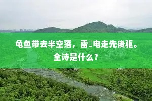 临川郡古多奇迹，严黎已老裘父没。下一句是什么？
