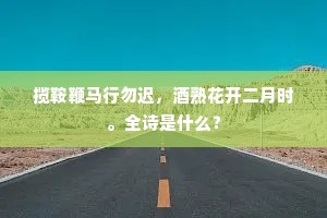 政尔飘流落蛮徼，偶然邂逅识天涯。全诗是什么？