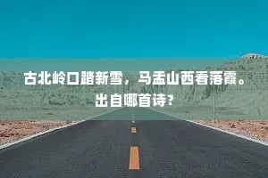 欲问梅花苦无地，把君诗卷得参寻。下一句是什么？