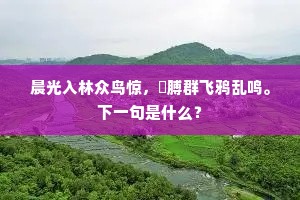 不待金仙来震旦，君王已解等冤亲。下一句是什么？