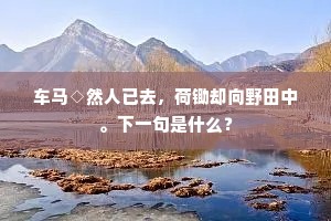 祇疑寒食无风雨，不料今晨顿如许。的释义