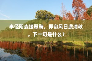 纵然风雨敢怨尤，留得佳人驻南浦。的解释