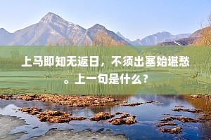 剔抽禿刷成语的拼音