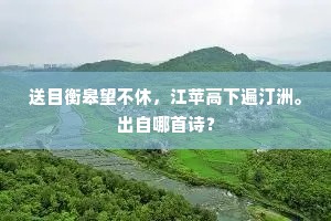 地形盘薄一都会，山色周遭万玉簪。的释义