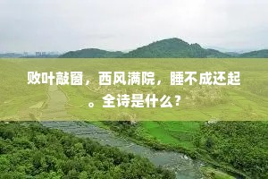 冰花不省如斯暴，疑是吹沙打夜窗。的解释