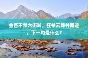 向来一雪压霾昏，晓跨征鞍傍水村。出自哪首诗？