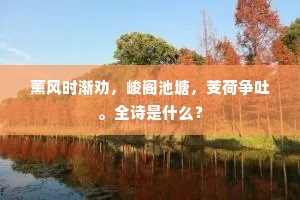 三年百感卧湘城，风急鹡鴒原上情。的意思及出处