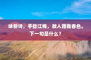 试问庄周说鹏鷃，何如洙泗举鱼鸢。的意思及出处