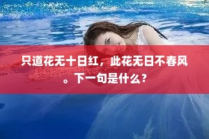 贡包馀璧小盘龙，独占人间第一功。的意思及出处