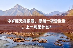 子孙保此传家瑞，世享长年自不疑。的释义
