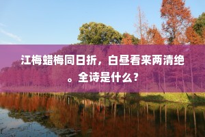 铁心石肠成语的拼音