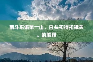 青春堂堂暗中去，常恐余生似潢潦。的意思及出处