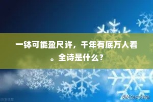 何当刀圭借残龄，相与神游超八表。的释义