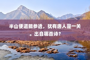 久怜消髀厌羇旅，便欲卜隐如林逋。上一句是什么？