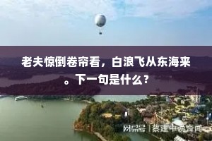 归来可喜似新燕，惜别预愁如去鸿。的释义