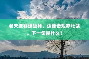 红眉紫襜青绢袄，领颈麤糙流黑油。下一句是什么？