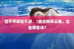 土洋结合成语的释义