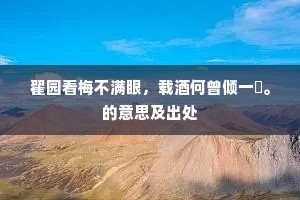 我恨不为典属国，望古遥集真可叹。的意思及出处