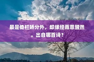 万言阶对万乘喜，声名一日青云端。全诗是什么？