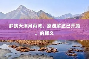 兔角龟毛成语的释义