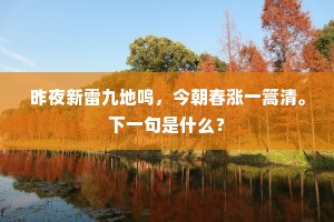 抟空捕影成语的解释