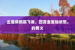杳如乘鸾向烟雾，精神流离不自据。的解释